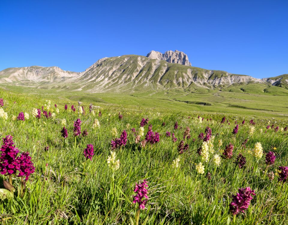 monte aquila gran sasso abruzzo