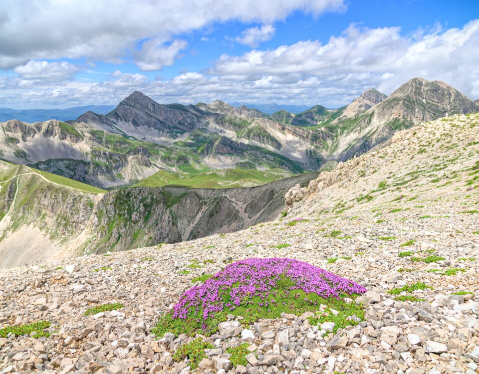 parco nazionale del gran sasso abruzzo