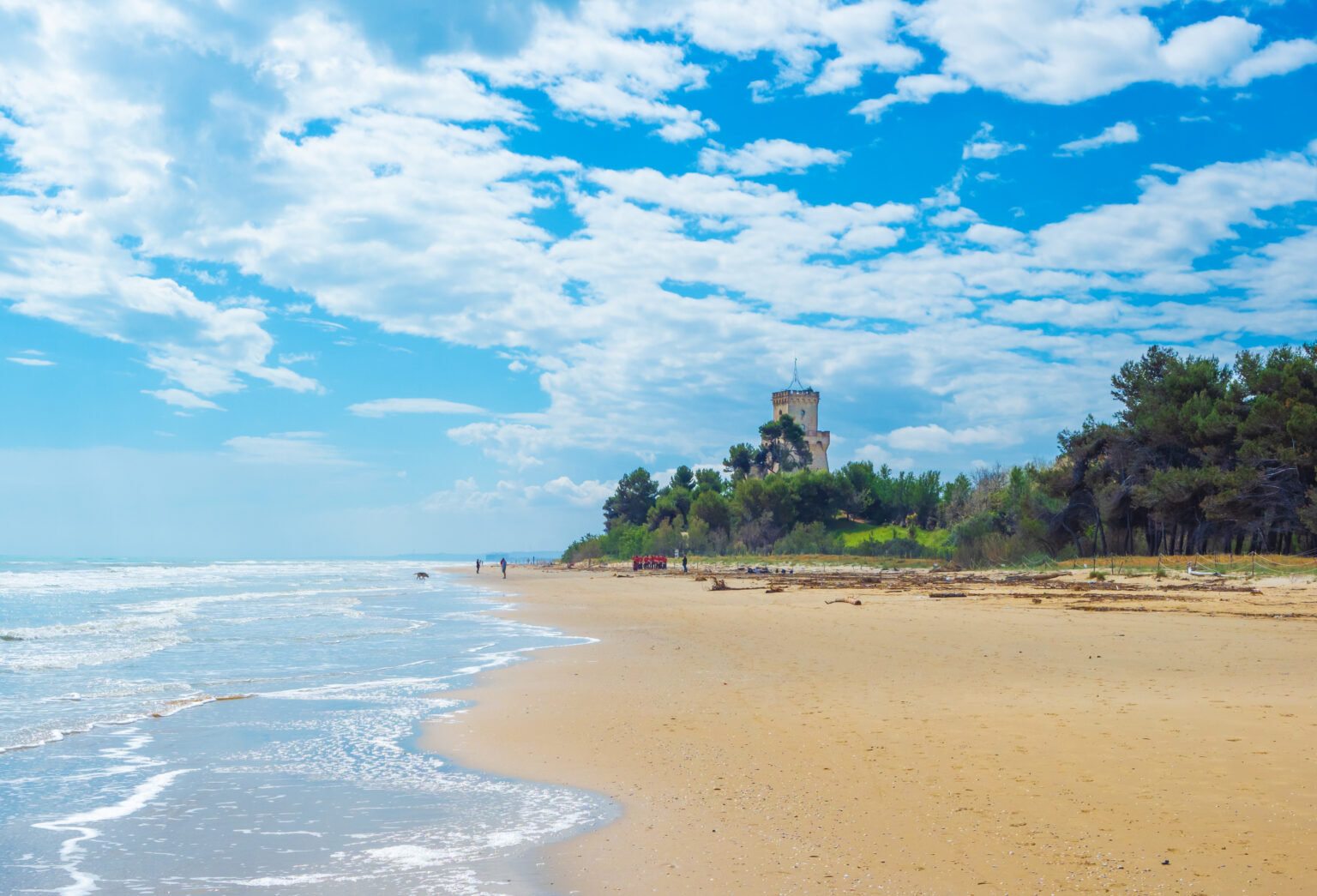 La spiaggia di Pineto con la pineta monumentale e la Torre di Cerrano