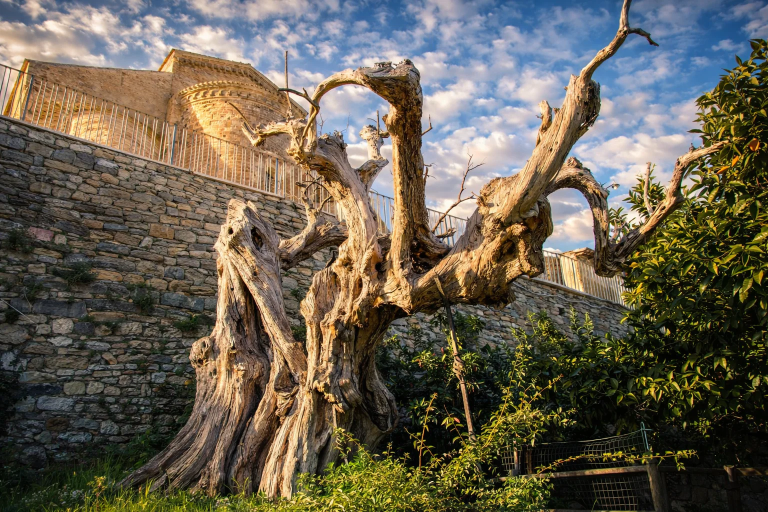 san giovannio in venere itinerario dell'olio in Abruzzo