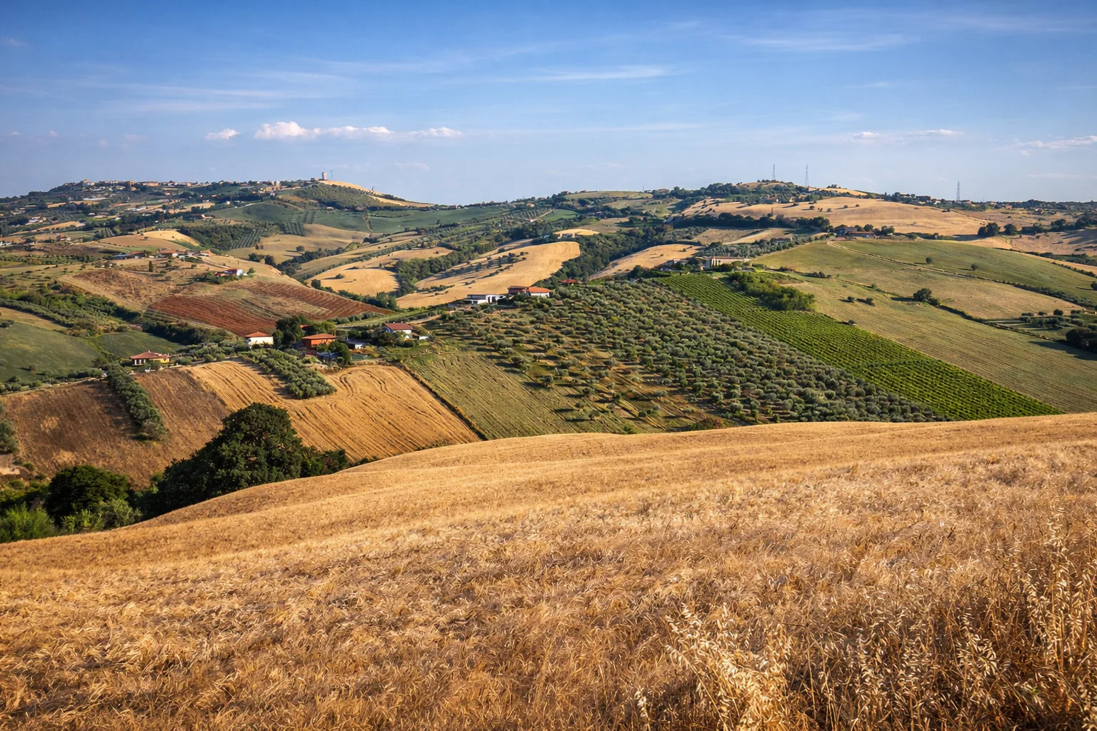 abruzzo colline olio