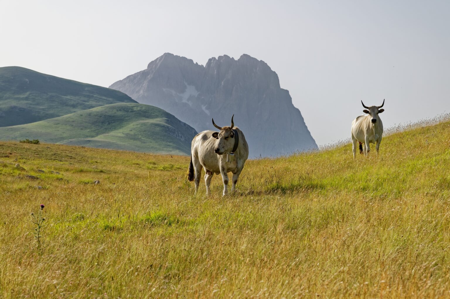 Gran sasso D'Italia, Abruzzo