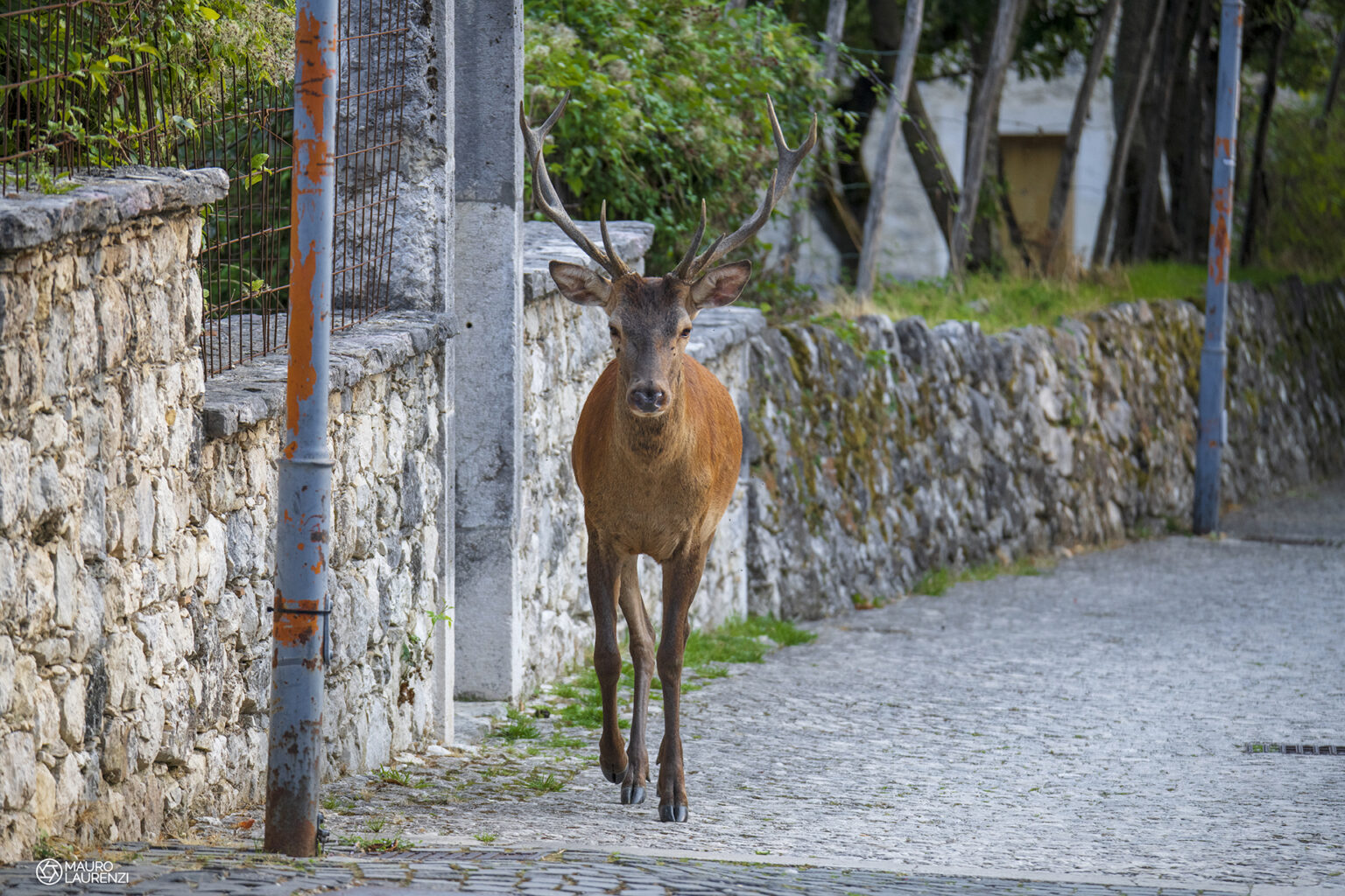 Parco nazionale d'abruzzo