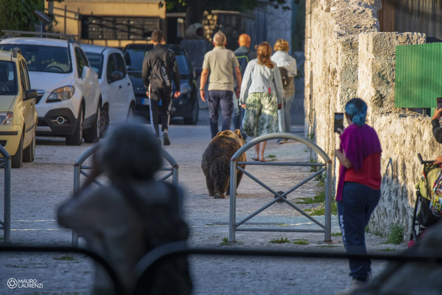 Parco nazionale d'abruzzo