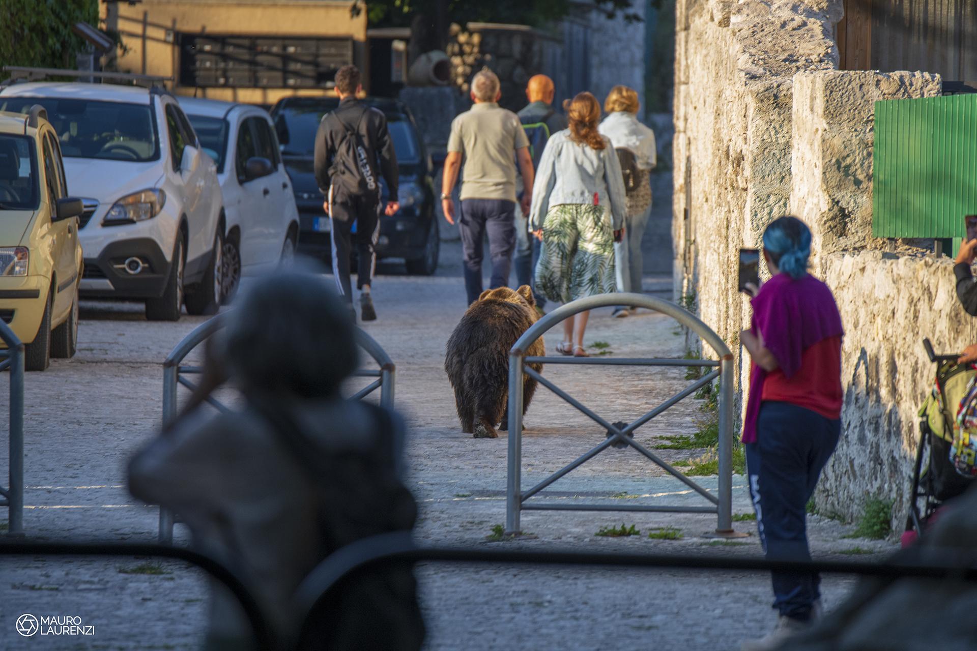 Parco nazionale d'abruzzo